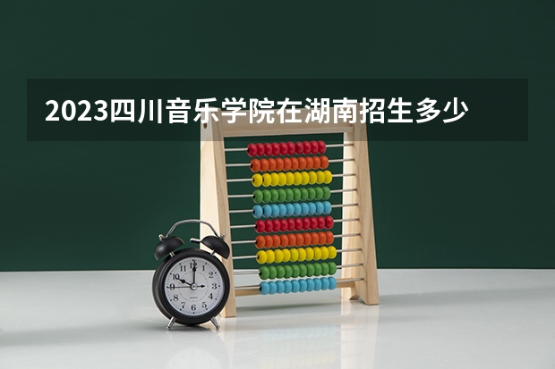 2023四川音乐学院在湖南招生多少人