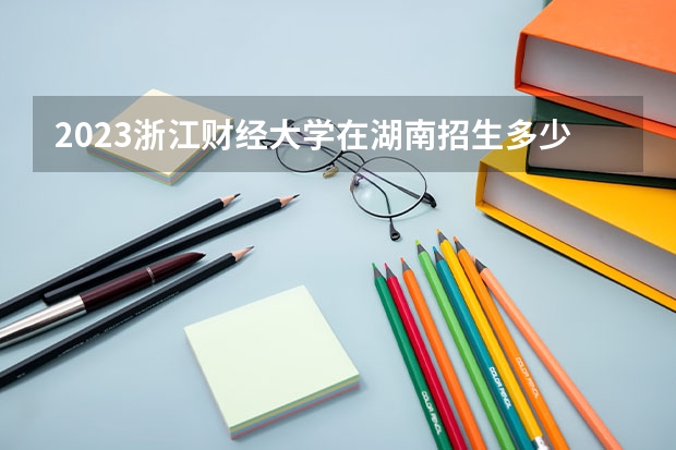 2023浙江财经大学在湖南招生多少人