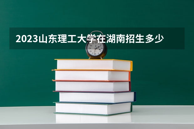 2023山东理工大学在湖南招生多少人