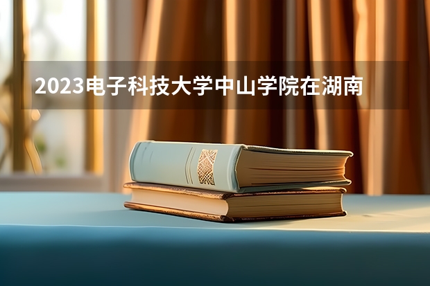 2023电子科技大学中山学院在湖南招生多少人