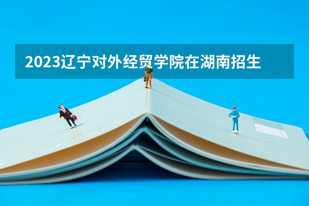 2023辽宁对外经贸学院在湖南招生多少人