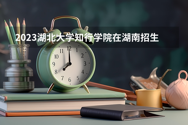 2023湖北大学知行学院在湖南招生多少人