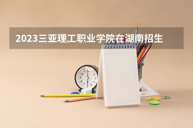 2023三亚理工职业学院在湖南招生多少人