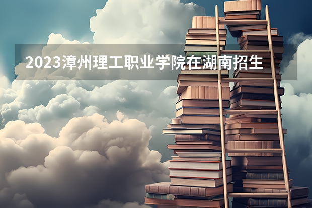 2023漳州理工职业学院在湖南招生多少人