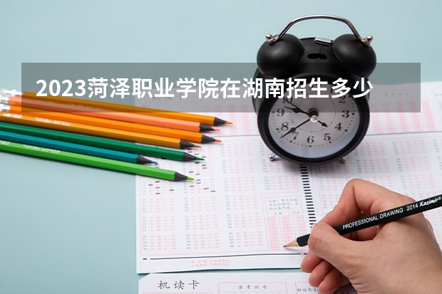 2023菏泽职业学院在湖南招生多少人