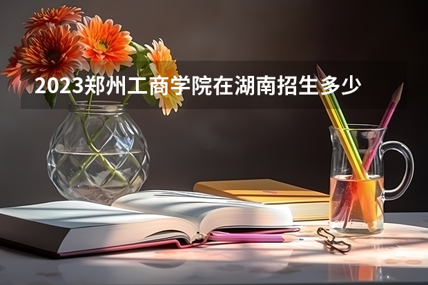 2023郑州工商学院在湖南招生多少人