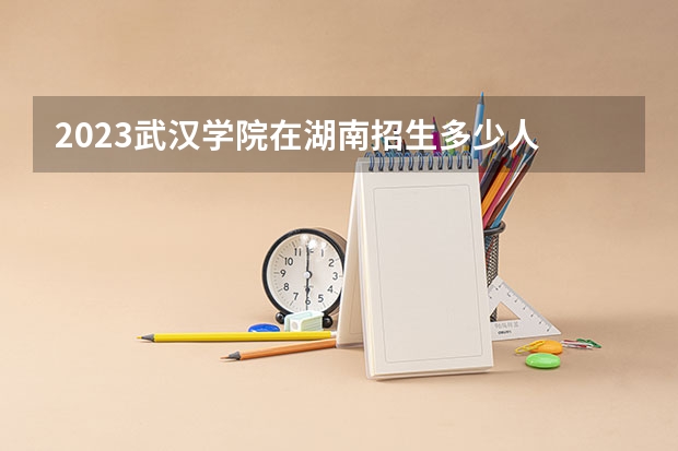 2023武汉学院在湖南招生多少人