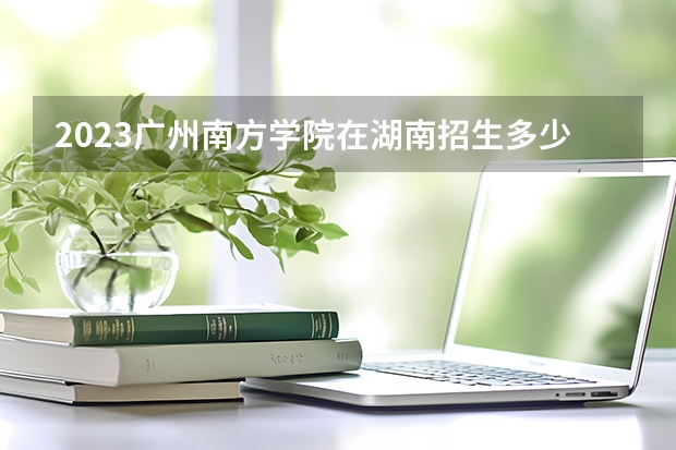 2023广州南方学院在湖南招生多少人