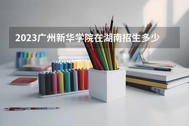 2023广州新华学院在湖南招生多少人