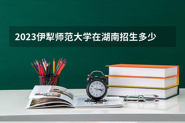 2023伊犁师范大学在湖南招生多少人