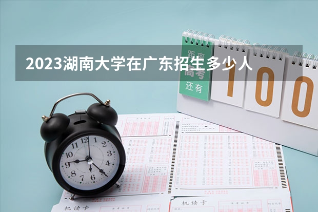 2023湖南大学在广东招生多少人