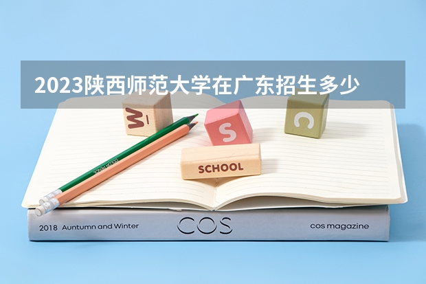 2023陕西师范大学在广东招生多少人