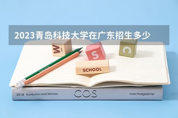 2023青岛科技大学在广东招生多少人