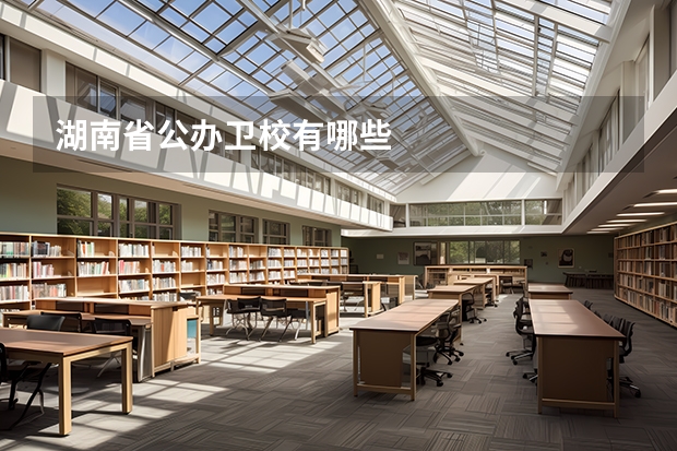 湖南省公办卫校有哪些