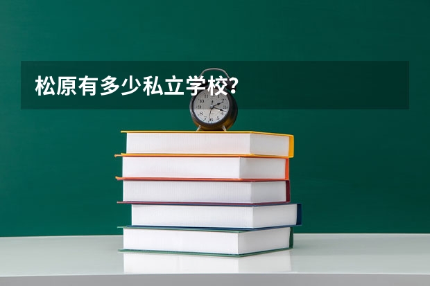 松原有多少私立学校？