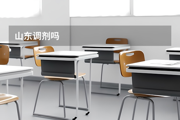 山东调剂吗
