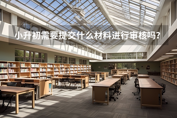 小升初需要提交什么材料进行审核吗？