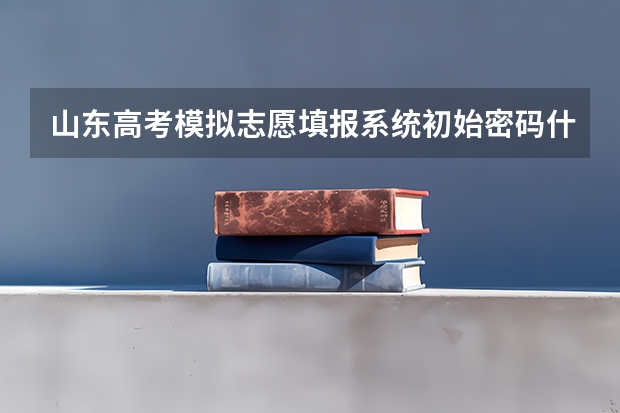 山东高考模拟志愿填报系统初始密码什么意思