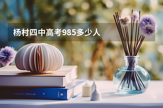杨村四中高考985多少人