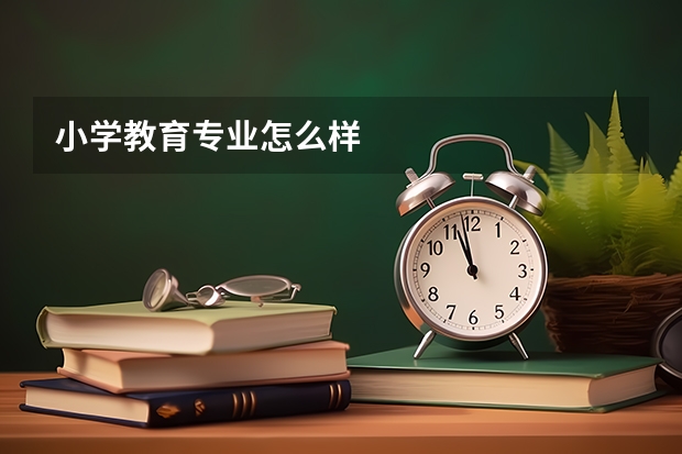 小学教育专业怎么样