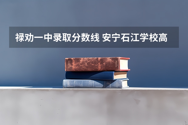 禄劝一中录取分数线 安宁石江学校高考成绩