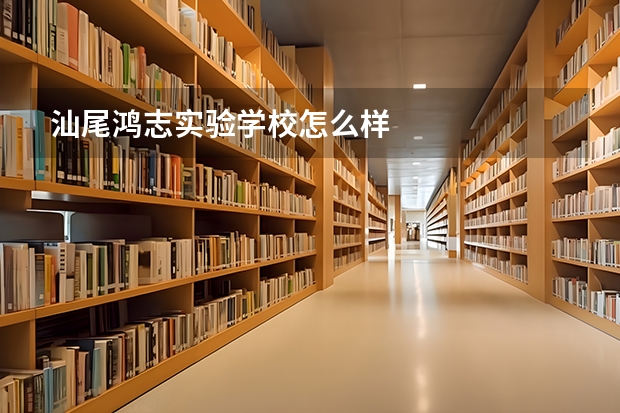 汕尾鸿志实验学校怎么样