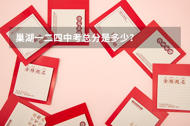 巢湖一二四中考总分是多少？