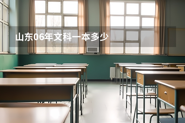 山东06年文科一本多少