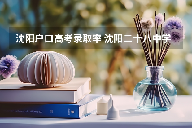沈阳户口高考录取率 沈阳二十八中学升学率
