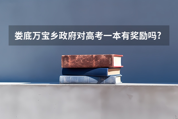 娄底万宝乡政府对高考一本有奖励吗?