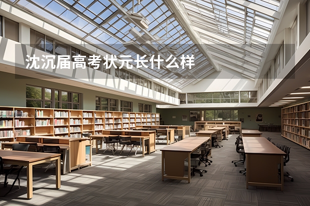 沈沉届高考状元长什么样