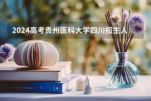 2024高考贵州医科大学四川招生人数 招生计划