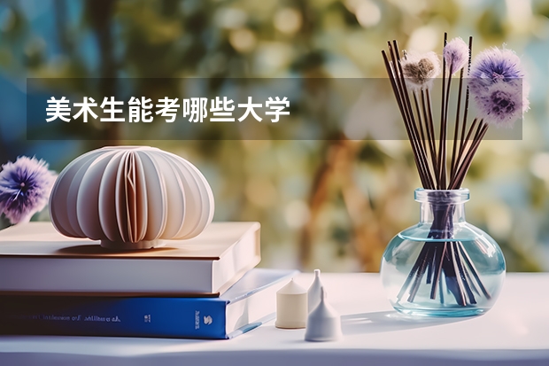 美术生能考哪些大学
