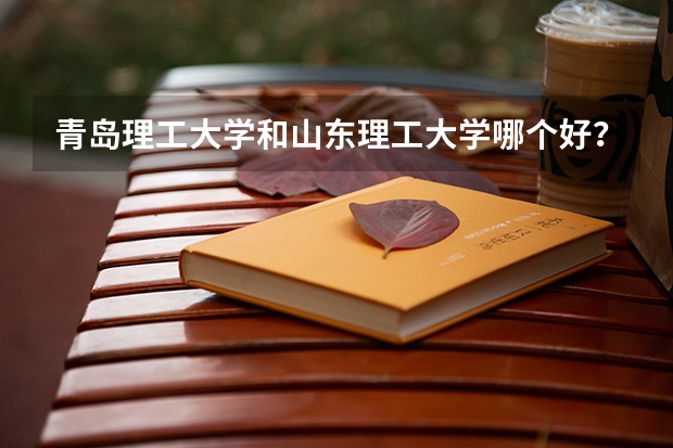 青岛理工大学和山东理工大学哪个好？