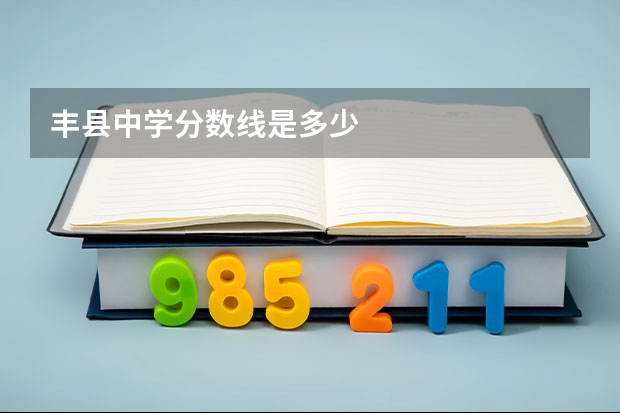 丰县中学分数线是多少