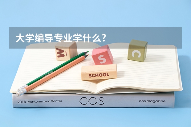 大学编导专业学什么?