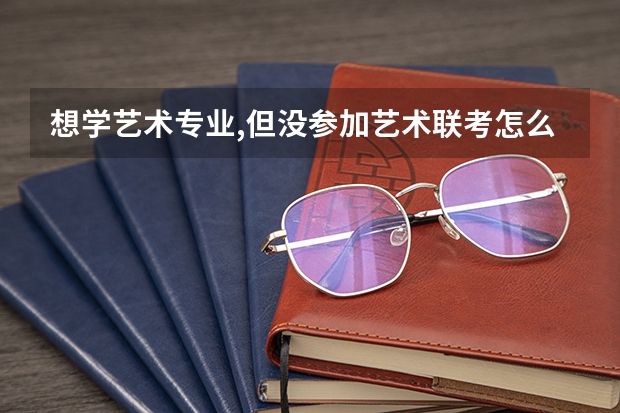 想学艺术专业,但没参加艺术联考怎么办?