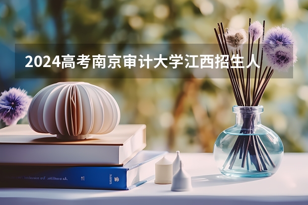 2024高考南京审计大学江西招生人数 招生计划