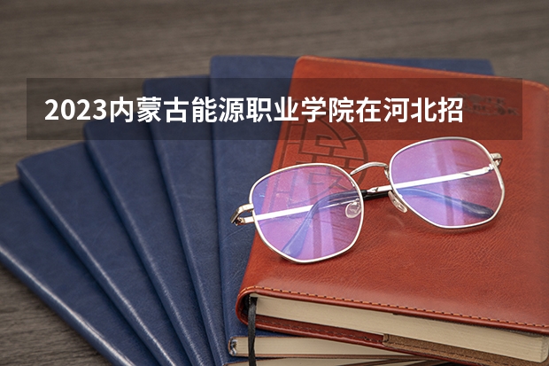 2023内蒙古能源职业学院在河北招生多少人