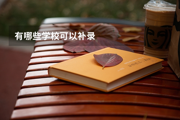 有哪些学校可以补录