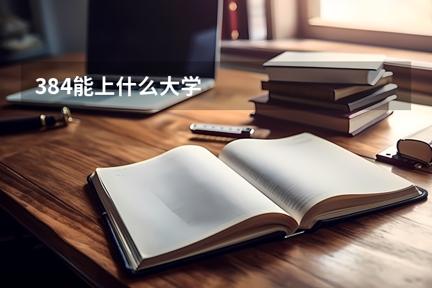 384能上什么大学