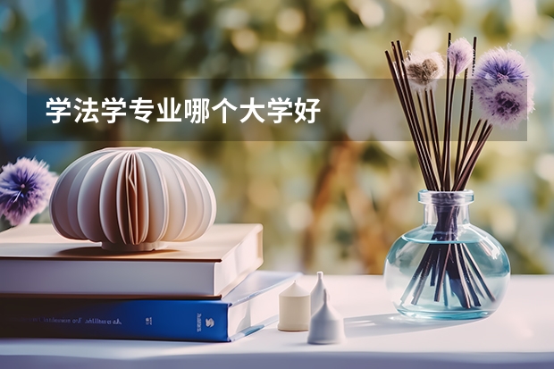学法学专业哪个大学好