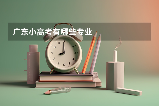 广东小高考有哪些专业