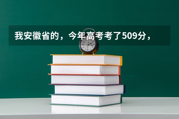 我安徽省的，今年高考考了509分，我是文科生，比二本线高8分，请问我能在安徽省内上哪些比较好的学校？