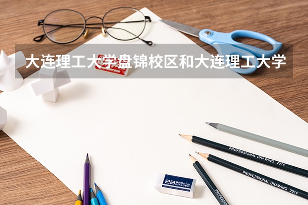 大连理工大学盘锦校区和大连理工大学有什么区别 ？？