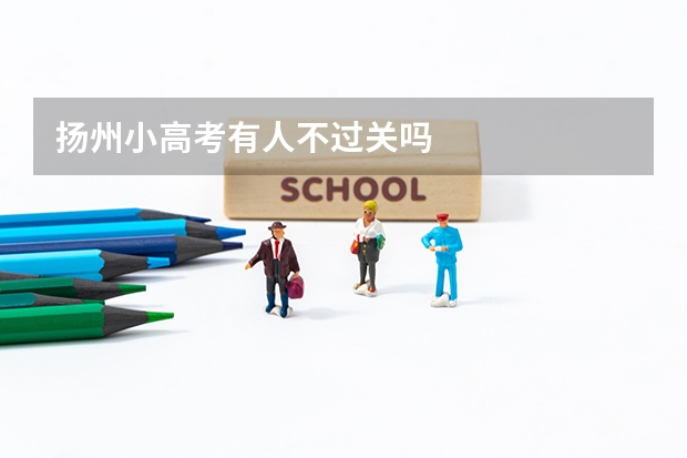 扬州小高考有人不过关吗