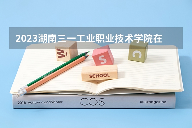2023湖南三一工业职业技术学院在河北招生多少人