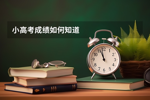 小高考成绩如何知道