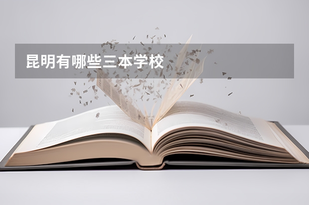 昆明有哪些三本学校