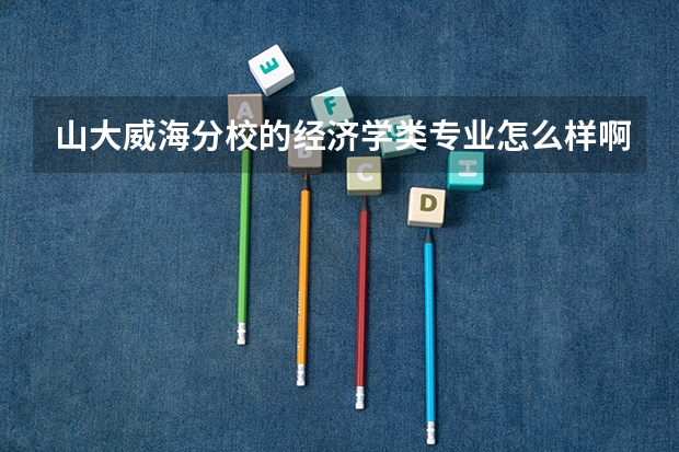 山大威海分校的经济学类专业怎么样啊